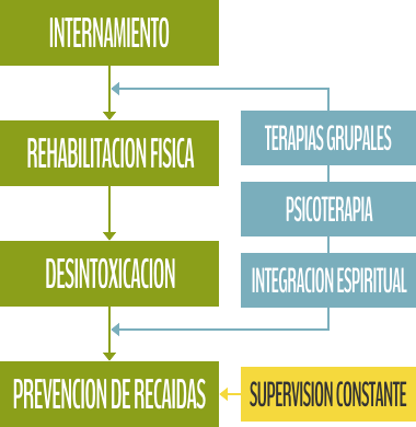Diagrama del programa de recuperación